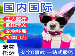 二连浩特赛乌素机场货运国际宠物托运 【国